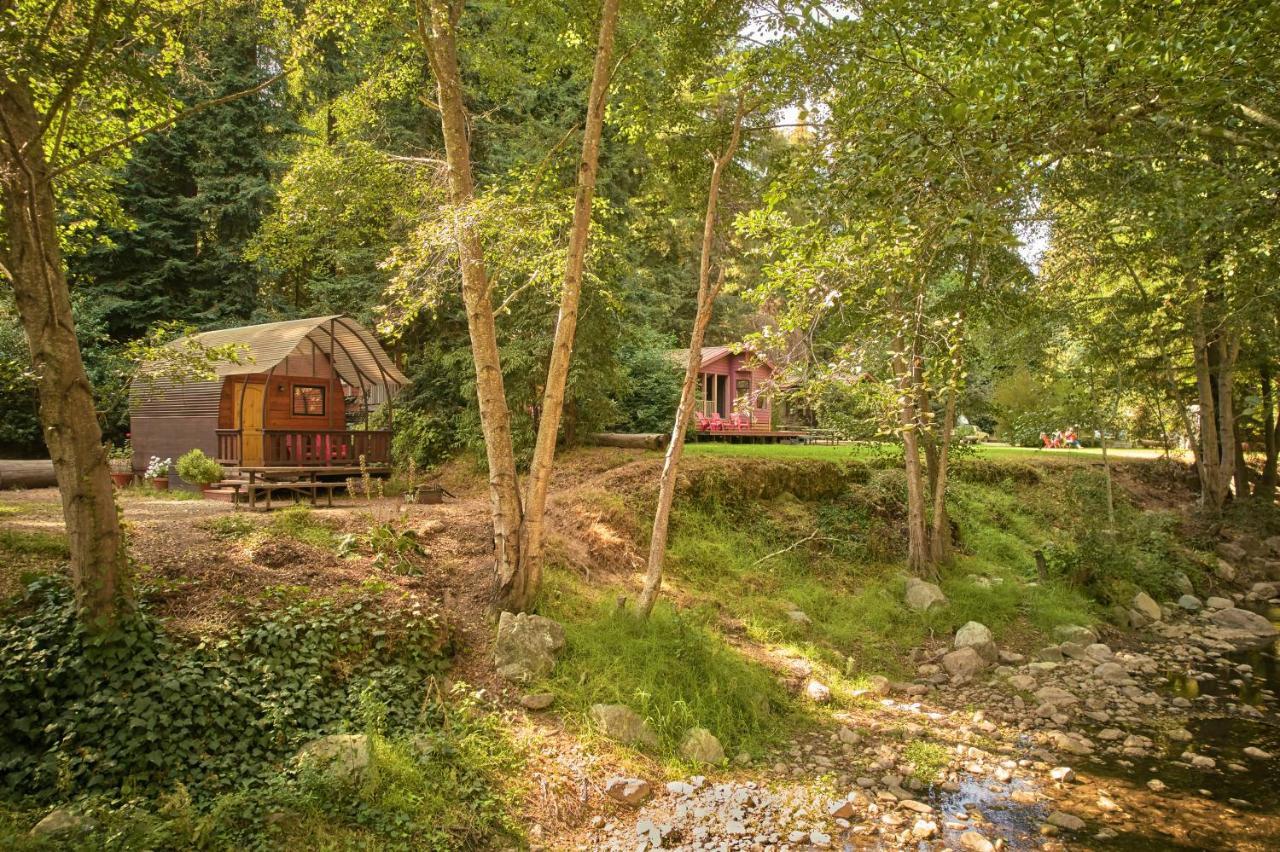 Big Sur Campground And Cabins Ngoại thất bức ảnh